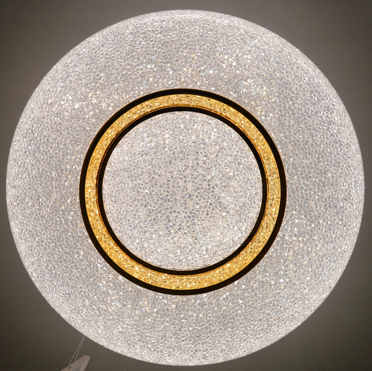 Luxury LED Disc Ceiling Light | Colour Changing | Modern Round | 3 Sizes