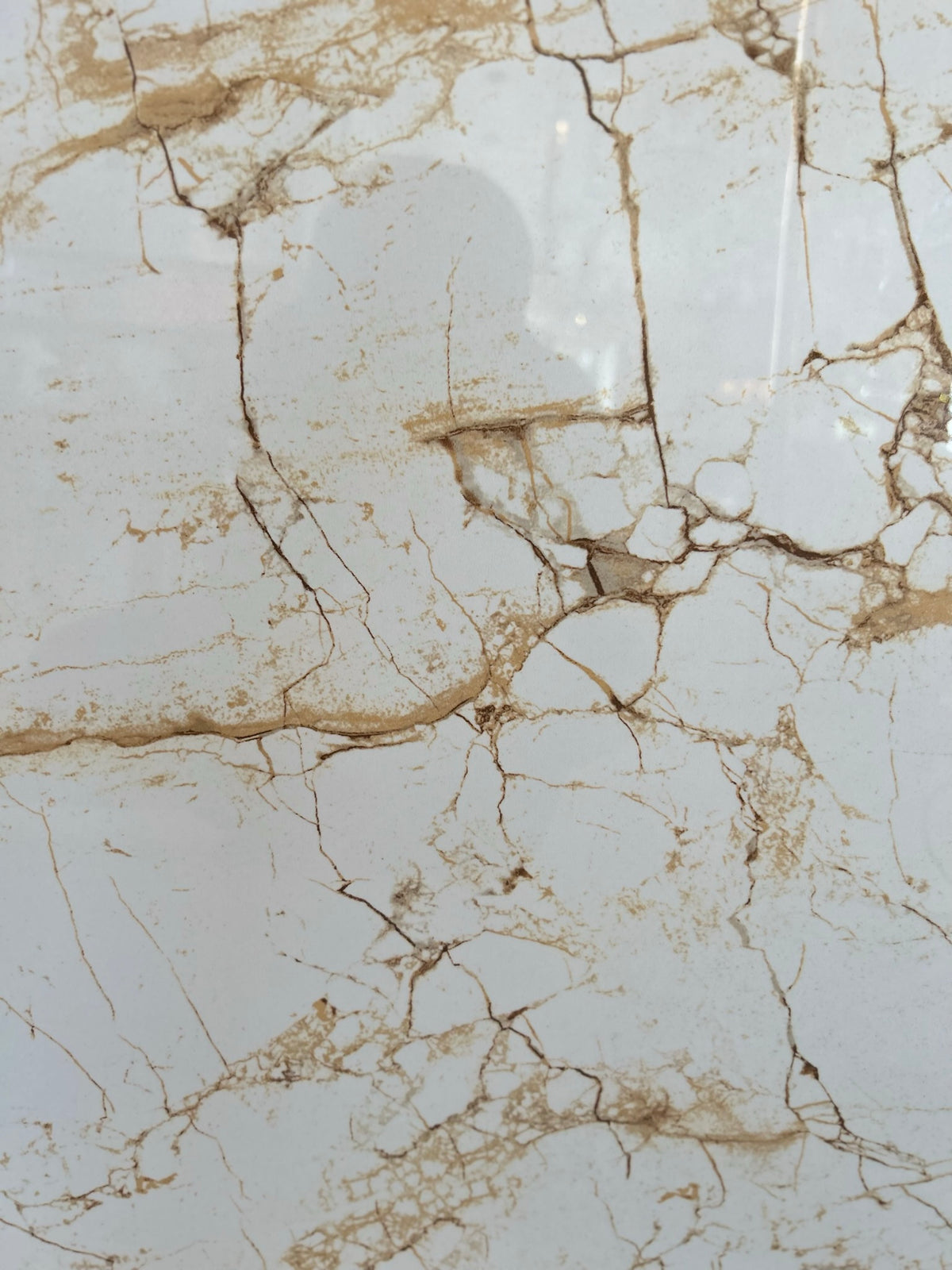 Cream with Gold Marble Effect Glossy Porcelain Tiles Wall & Floor Tiles-600*600*10.5mm-B6104-polished