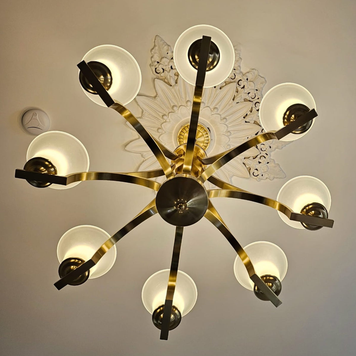 Gold Traditional 8arms Chandelier-adjustable Height-PL6017-8arms-Gold