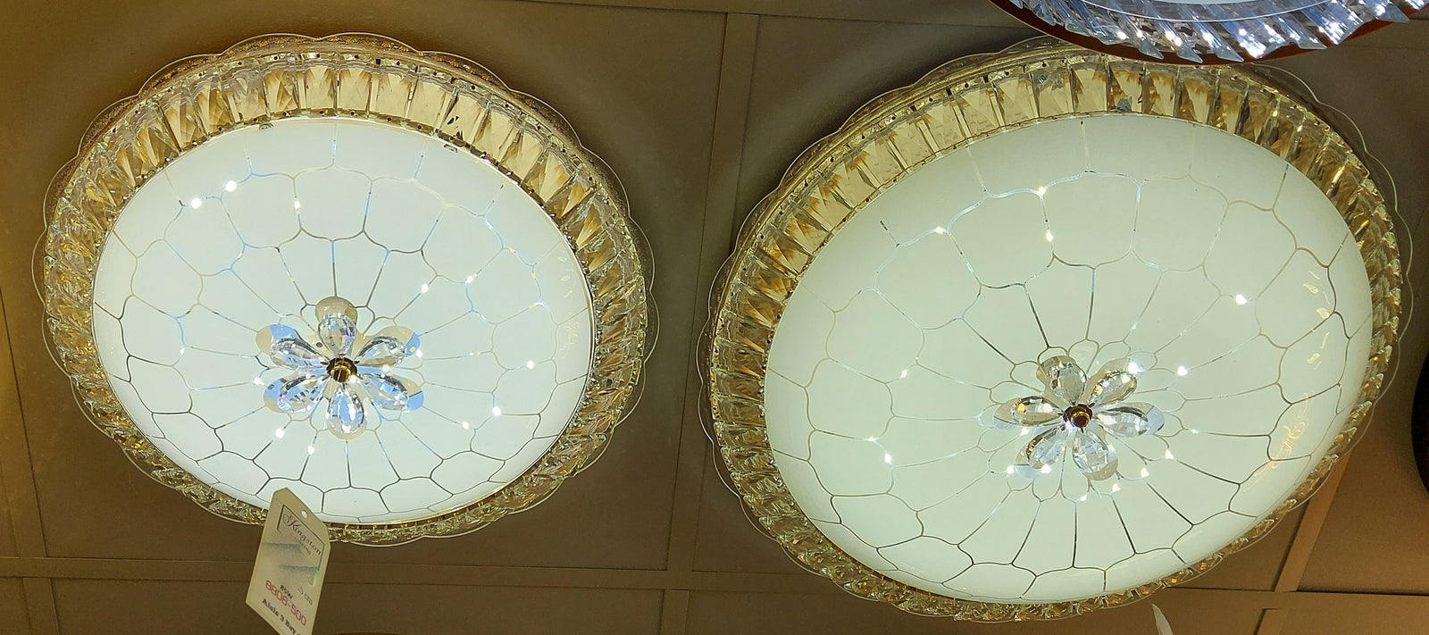 Circular glass ceiling mounted crystallic shaded light-with Colour Changing Function-8806-600 & 500-60*60 & 50*50