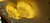 Circular glass ceiling mounted crystallic shaded light [31233-500 | 31233-600]