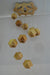 Wooden Pendant Lights [61025-10 | 61046-L]