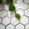 Hexagonal Silver and White Elegant Mosaic Tiles-220*380*8mm-11sheets-1m2