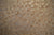 Nude colour with Silver Luxury Wallpapers -15mtr Length and 1mtr Width-Equal to Normal 3Rolls-AE1350