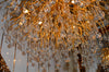 Pendant-Glass Rain Drop Gold Pendant Ceiling Light-A3139/500, 800 & 1000*500